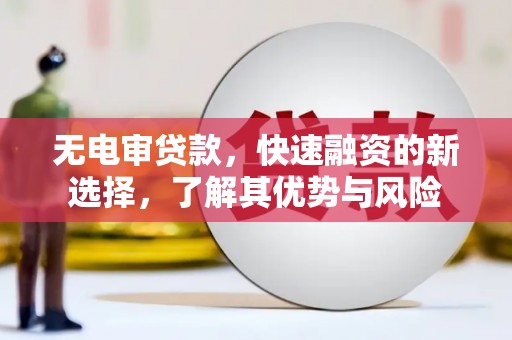 甘南无电审贷款，快速融资的新选择，了解其优势与风险