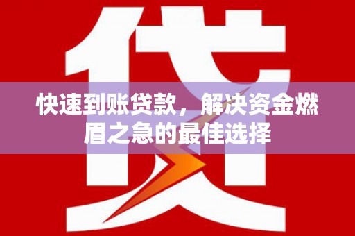 甘南快速到账贷款，解决资金燃眉之急的最佳选择