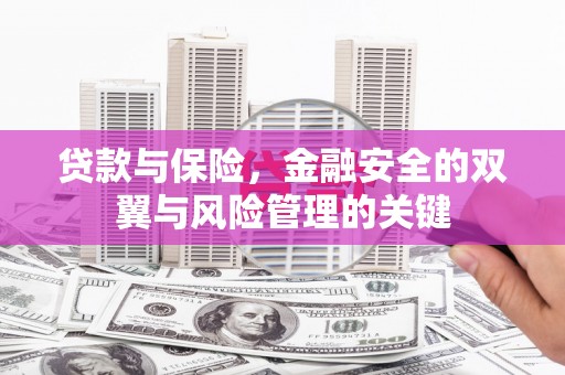 甘南贷款与保险，金融安全的双翼与风险管理的关键