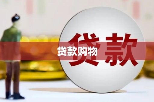 甘南贷款购物