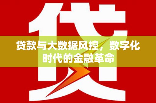 甘南贷款与大数据风控，数字化时代的金融革命