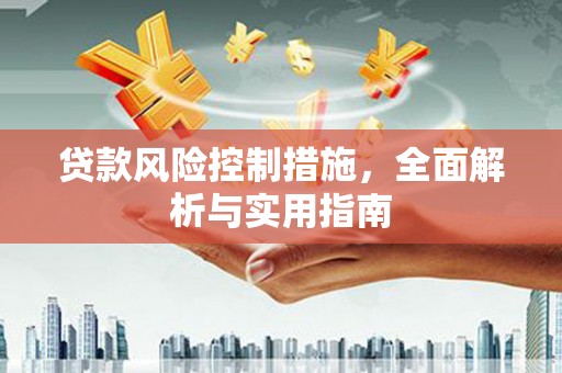 甘南贷款风险控制措施，全面解析与实用指南