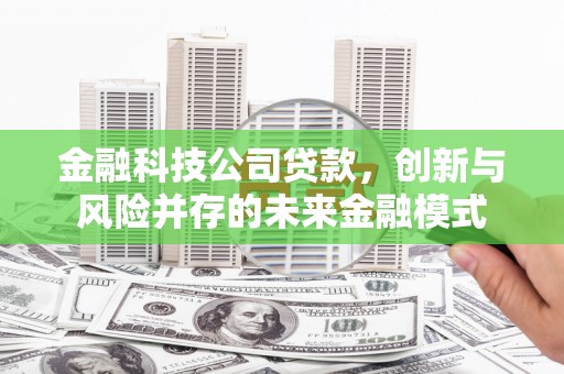 甘南金融科技公司贷款，创新与风险并存的未来金融模式