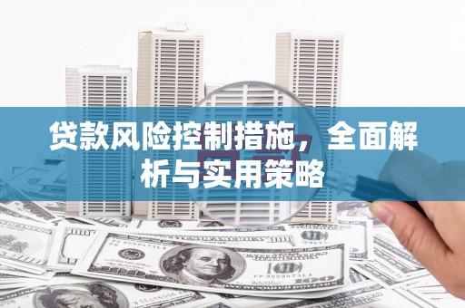 甘南贷款风险控制措施，全面解析与实用策略