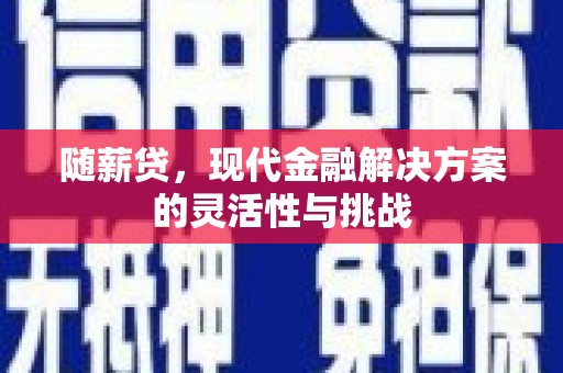 甘南随薪贷，现代金融解决方案的灵活性与挑战