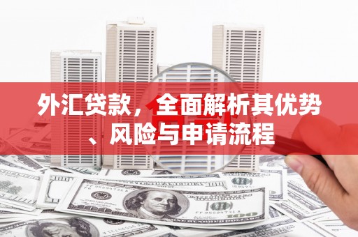 甘南外汇贷款，全面解析其优势、风险与申请流程