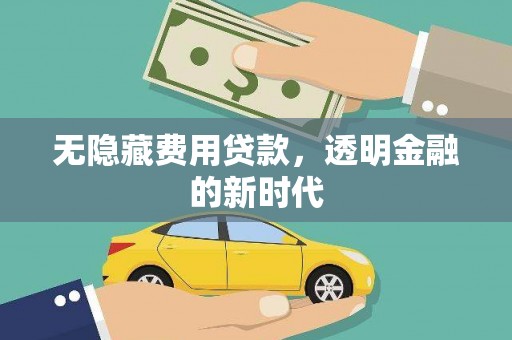 甘南无隐藏费用贷款，透明金融的新时代