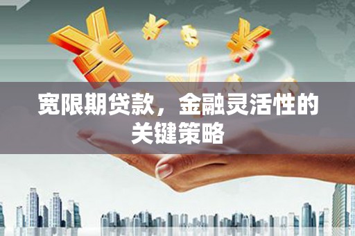 甘南宽限期贷款，金融灵活性的关键策略
