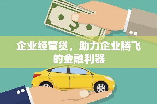 甘南企业经营贷，助力企业腾飞的金融利器