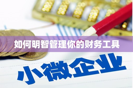甘南如何明智管理你的财务工具
