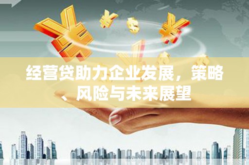 甘南经营贷助力企业发展，策略、风险与未来展望