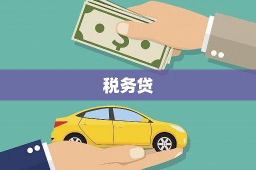 甘南税务贷