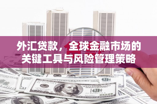 甘南外汇贷款，全球金融市场的关键工具与风险管理策略
