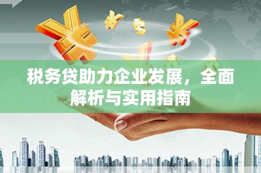 甘南税务贷助力企业发展，全面解析与实用指南