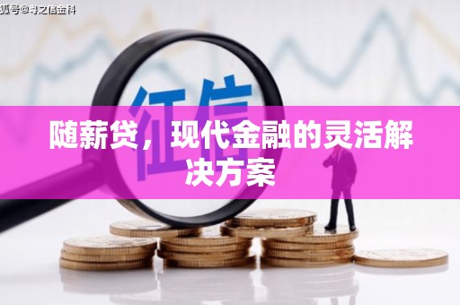 甘南随薪贷，现代金融的灵活解决方案