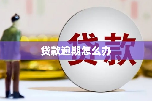 甘南贷款逾期怎么办
