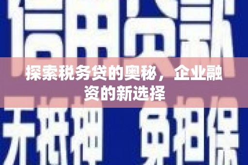 甘南探索税务贷的奥秘，企业融资的新选择