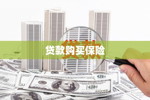 甘南贷款购买保险