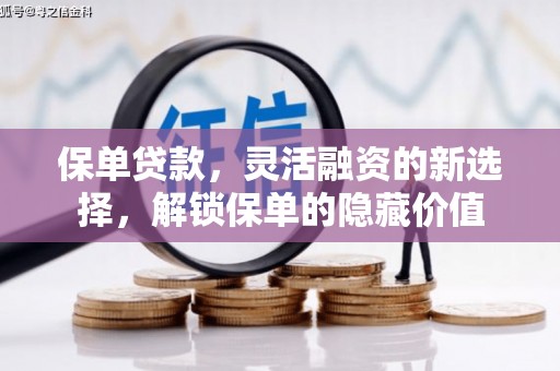 甘南保单贷款，灵活融资的新选择，解锁保单的隐藏价值