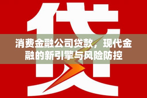 甘南消费金融公司贷款，现代金融的新引擎与风险防控