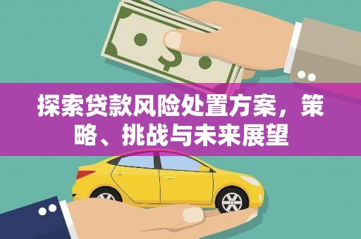 甘南探索贷款风险处置方案，策略、挑战与未来展望