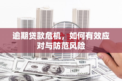 甘南逾期贷款危机，如何有效应对与防范风险