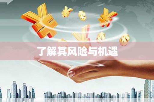 甘南了解其风险与机遇