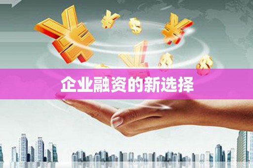 甘南企业融资的新选择