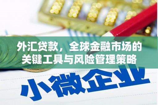 甘南外汇贷款，全球金融市场的关键工具与风险管理策略
