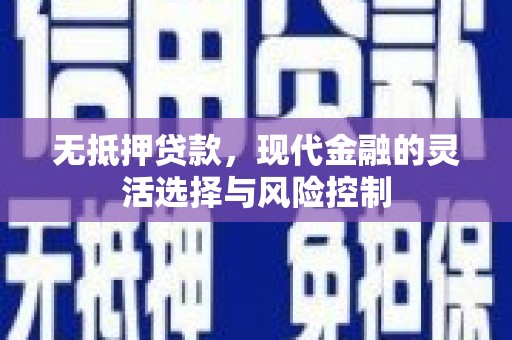 甘南无抵押贷款，现代金融的灵活选择与风险控制