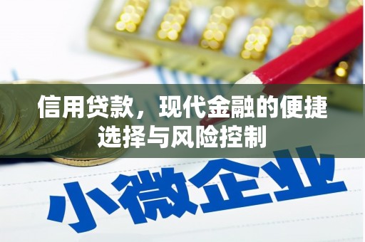 甘南信用贷款，现代金融的便捷选择与风险控制