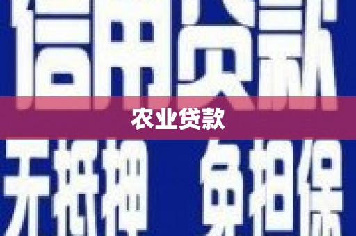 甘南农业贷款