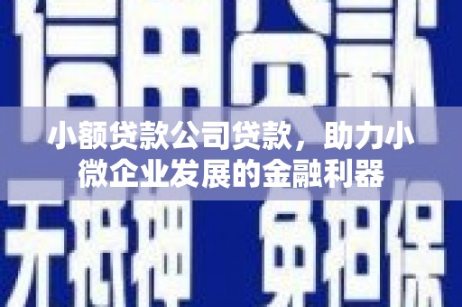 甘南小额贷款公司贷款，助力小微企业发展的金融利器