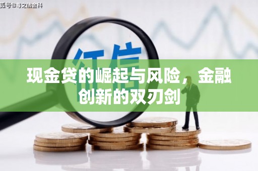 甘南现金贷的崛起与风险，金融创新的双刃剑