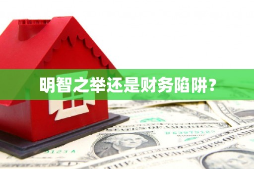 甘南明智之举还是财务陷阱？