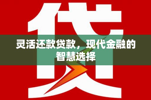 甘南灵活还款贷款，现代金融的智慧选择