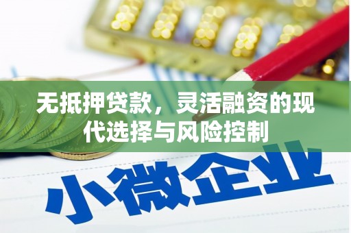 甘南无抵押贷款，灵活融资的现代选择与风险控制