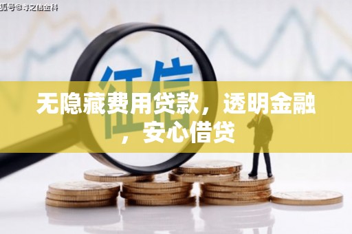 甘南无隐藏费用贷款，透明金融，安心借贷