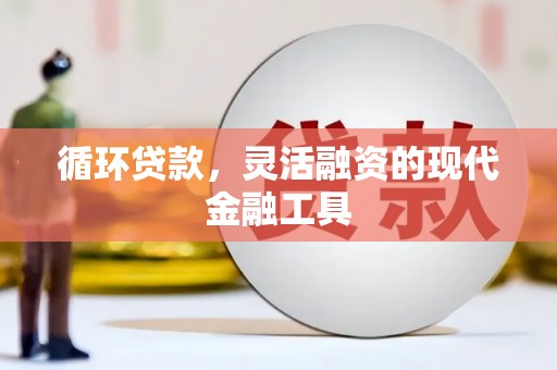 甘南循环贷款，灵活融资的现代金融工具