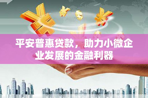 甘南平安普惠贷款，助力小微企业发展的金融利器