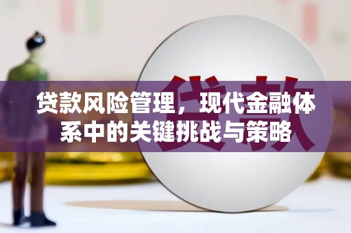 甘南贷款风险管理，现代金融体系中的关键挑战与策略