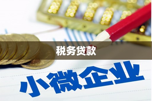 甘南税务贷款