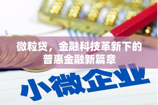 甘南微粒贷，金融科技革新下的普惠金融新篇章