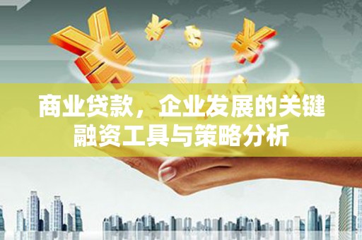甘南商业贷款，企业发展的关键融资工具与策略分析