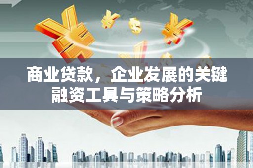 甘南商业贷款，企业发展的关键融资工具与策略分析