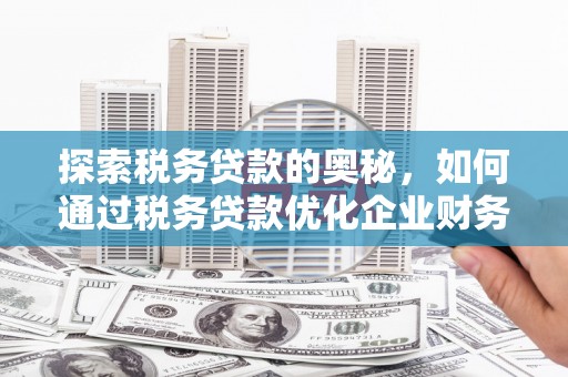 甘南探索税务贷款的奥秘，如何通过税务贷款优化企业财务