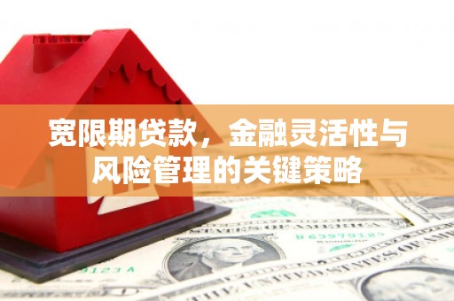 甘南宽限期贷款，金融灵活性与风险管理的关键策略