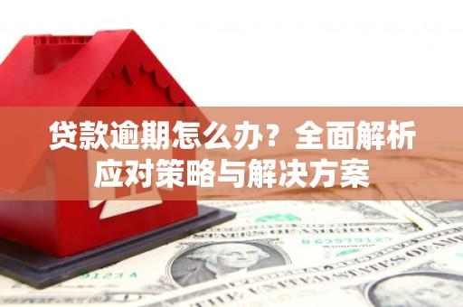 甘南贷款逾期怎么办？全面解析应对策略与解决方案