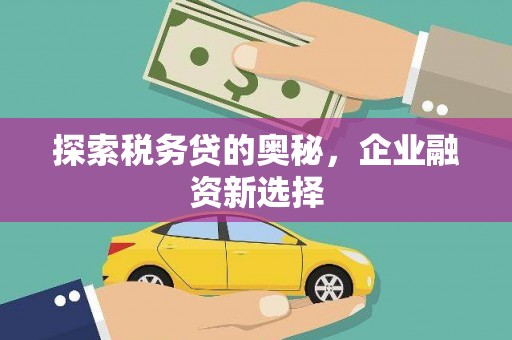 甘南探索税务贷的奥秘，企业融资新选择