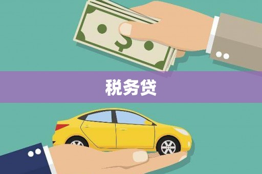 甘南税务贷
